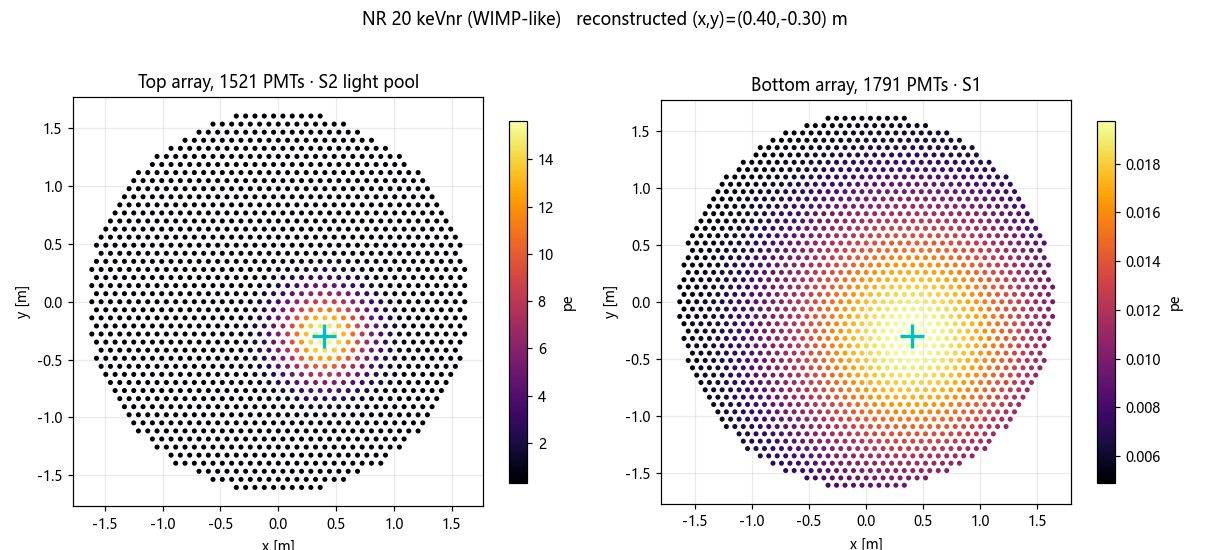 Top and bottom PMT array hit patterns for a nuclear recoil event