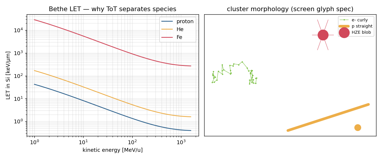 Bethe LET curves and the cluster-morphology glyph specification